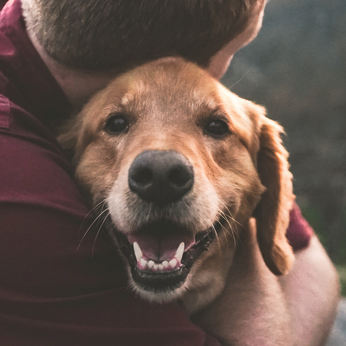 Choosing the right pet for children with special needs